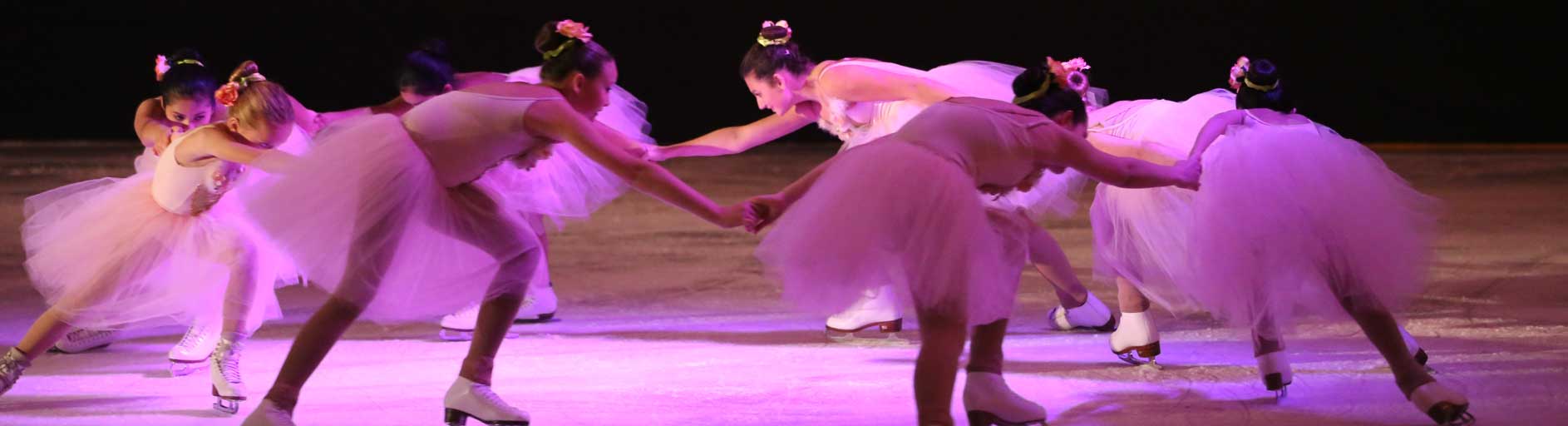 Nutcracker on Ice Header image