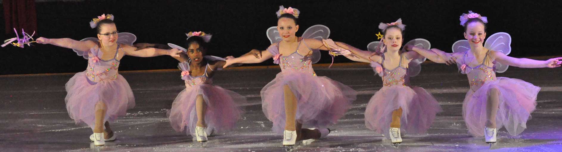 Nutcracker on Ice Header image